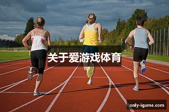 关于爱游戏体育